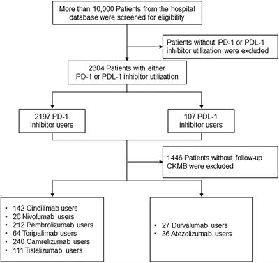 Cardiotoxicity Related to Immune Checkpoint Inhibitors: A Real-World Retrospective Analysis